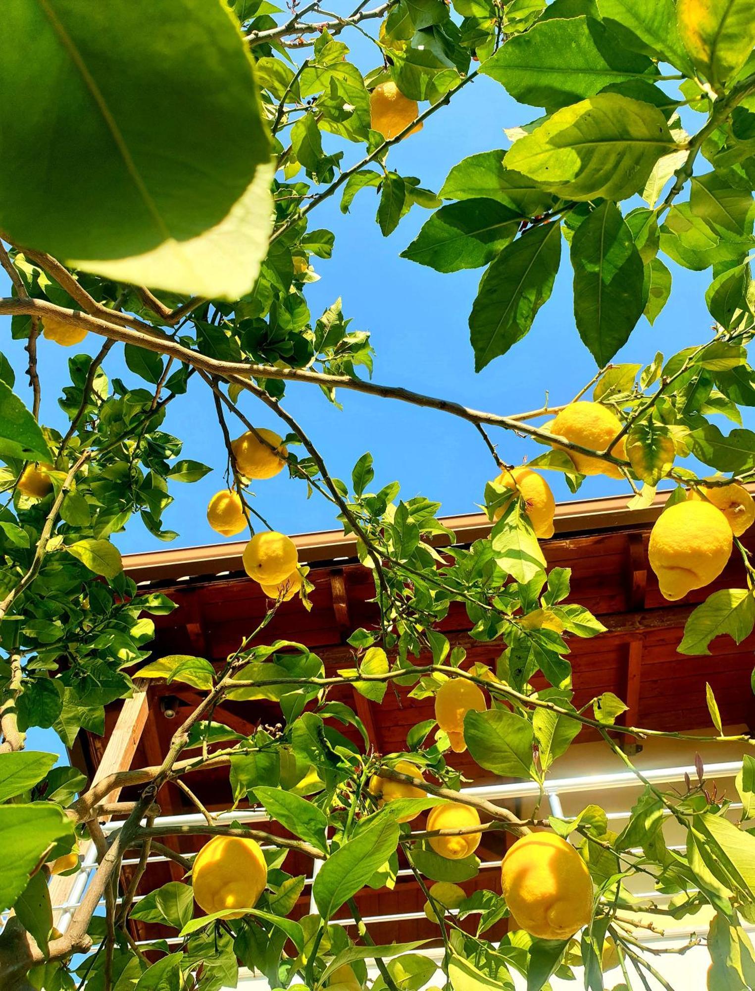 Philoxenia Guest House Himare Luaran gambar