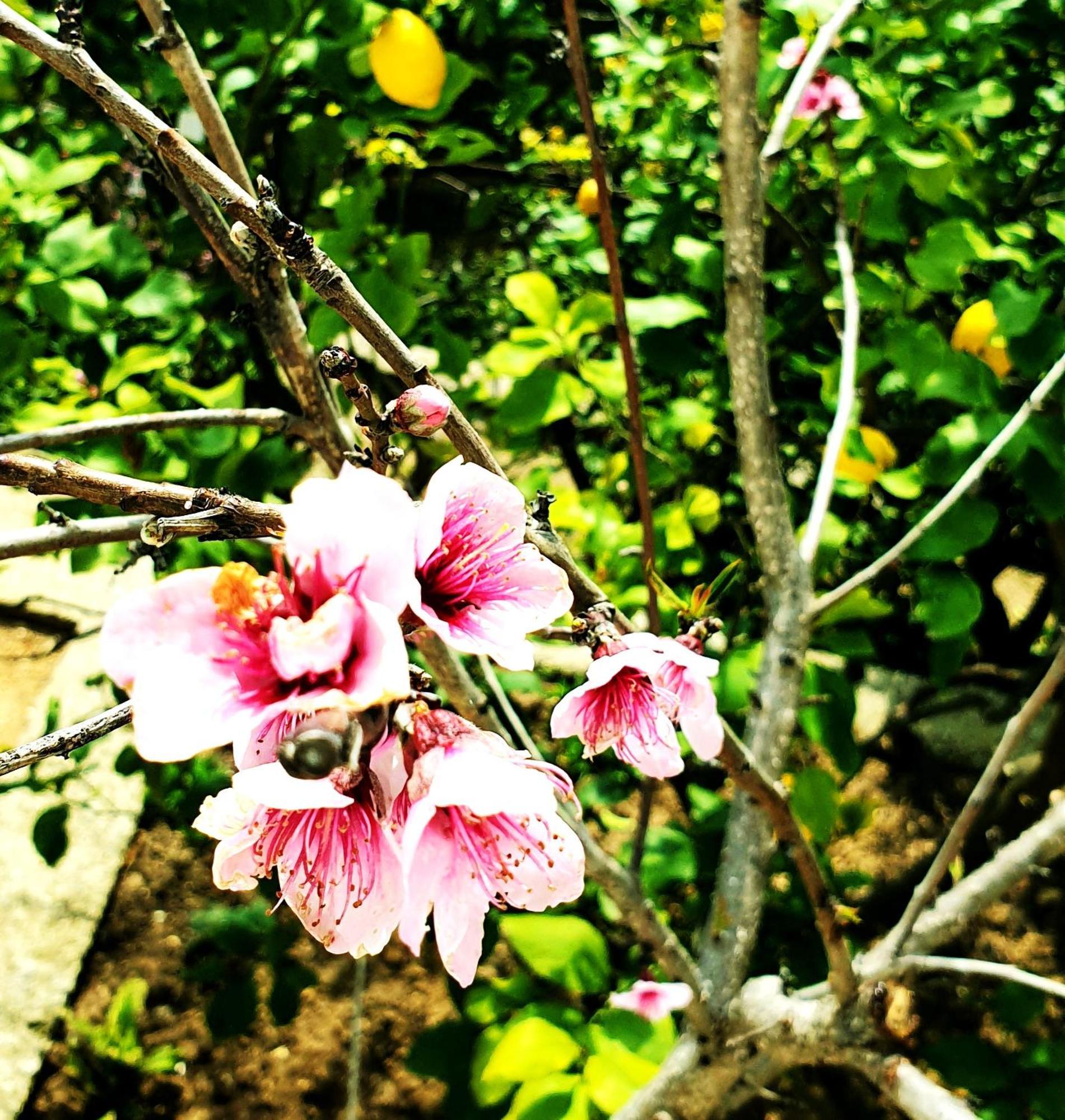 Philoxenia Guest House Himare Luaran gambar