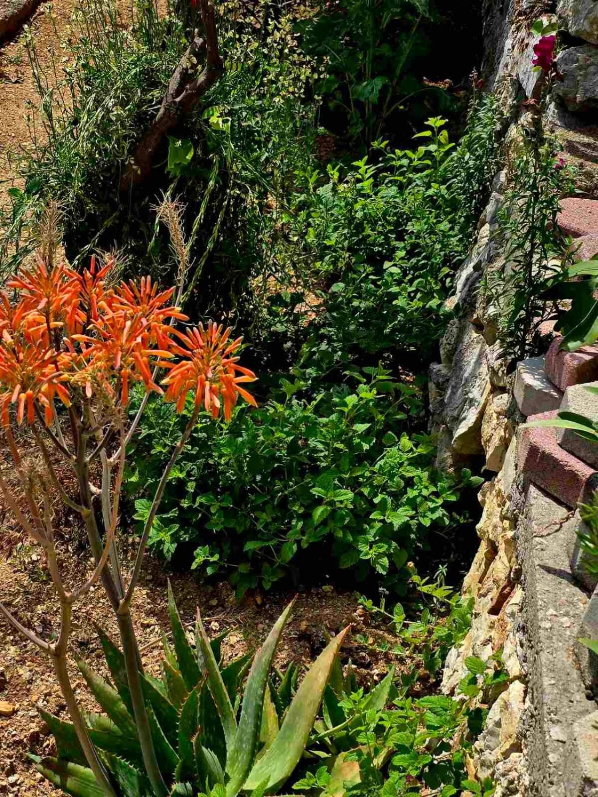 Philoxenia Guest House Himare Luaran gambar